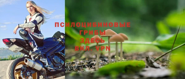 амф Кущёвская
