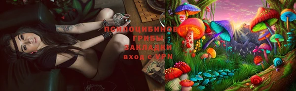 молекула духа Киренск