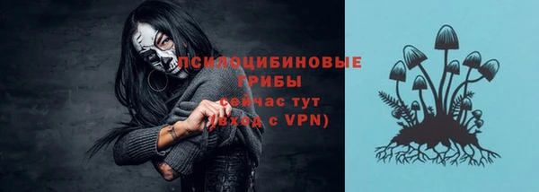 apvp Киреевск