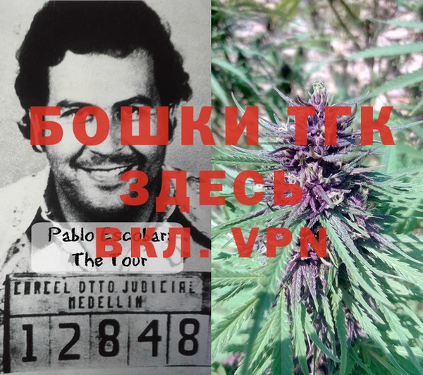 амф Кодинск