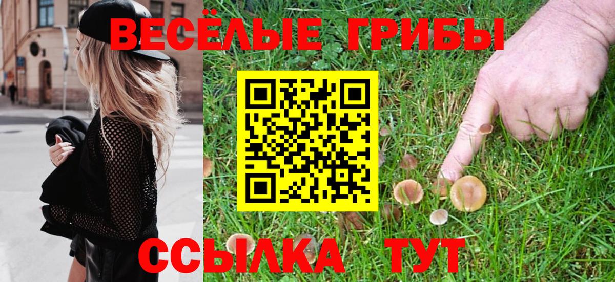 Псилоцибиновые грибы Cubensis Солнечногорск