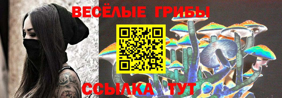 Солнечногорск  Псилоцибиновые грибы ЛСД  Вход с VPN 